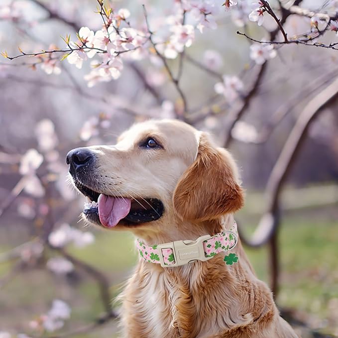 Lionet Paws St. Patrick Dog Collar- Cute Clover Pink Dog Collars with Plastic Buckle, Light Adjustable Dog Collars with Clover Pendant for Medium Dogs