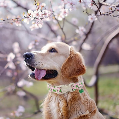 Lionet Paws St. Patrick Dog Collar- Cute Clover Pink Dog Collars with Plastic Buckle, Light Adjustable Dog Collars with Clover Pendant for Medium Large Dogs