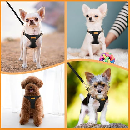 SlowTon Dog Harness Small Sized Dog - Soft XXS Dog Harness and Leash Set No Pull No Chock, Adjustable Lightweight Puppy Harness for XS Small Medium Dogs Cats (Solid Black, M)