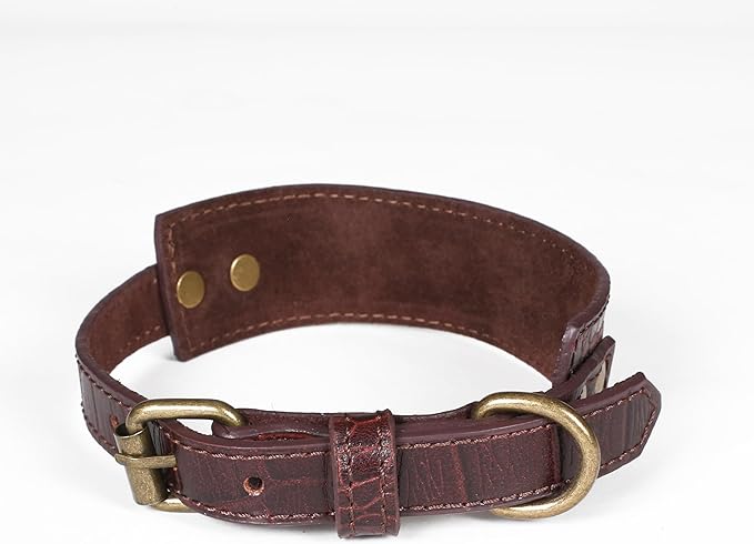 Lightnpro Genuine Leather Dog Collar & Leash Set - Adjustable 18" Premium Leather Collar with Sturdy Metal Buckle & Matching 50" Lead - Durable, Comfortable Walking & Training Gear for Large Breeds