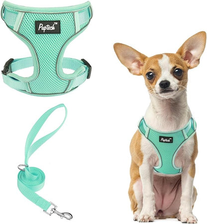 PUPTECK Small Dog Harness and Leash Set, No Pull Adjustable Puppy Cat Harness, Reflective Soft Mesh Pet Vest Small Sized, Green, XS