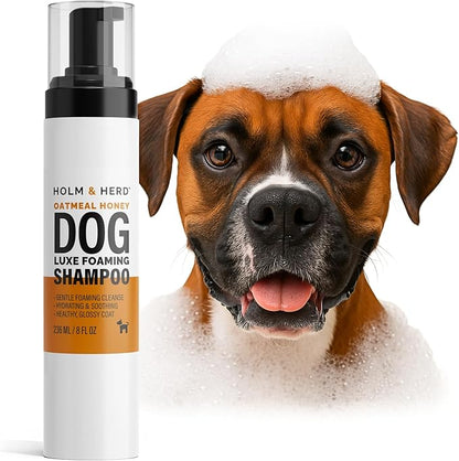 Dog Shampoo for Sensitive Skin - Gentle Natural Dog Wash for Odor Control - Oatmeal Shampoo for All Dogs & Puppies - 8fl oz (Oatmeal Honey)