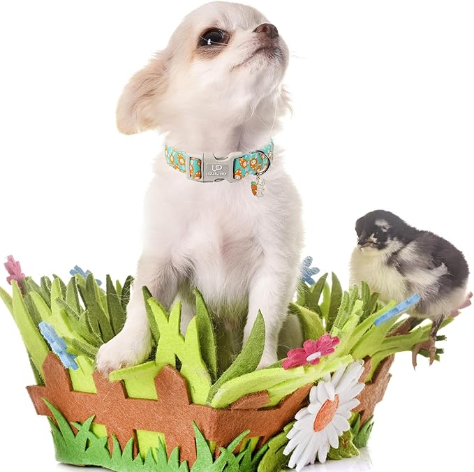 Easter Dog Collar, Lovely Cotton Easter Carrot Adjustable Puppy Collar for Girl Boy Dog, Adorable Carrots Collar for Small Medium & Large Dogs