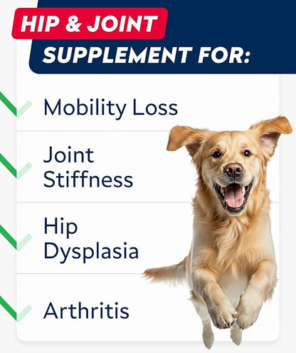 Glucosamine Treats for Dogs - Joint Supplement w/ Omega-3 Fish Oil - Chondroitin, MSM - Advanced Mobility Chews - Joint Pain Relief - Hip & Joint Care - Peanut Butter Flavor - 180 Ct - Made in USA
