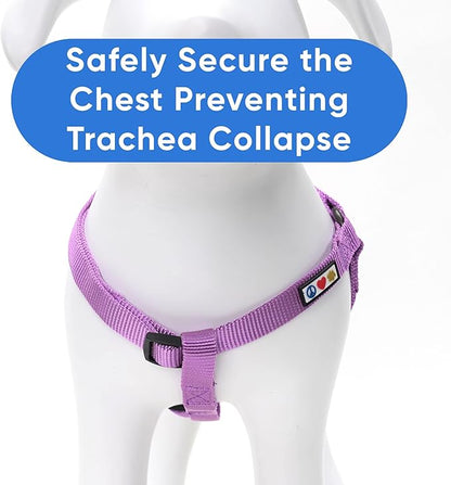 Pawtitas Solid Step-in Dog Harness – Adjustable No-Pull Vest for Puppies to Seniors, Safe & Comfortable L Orchid