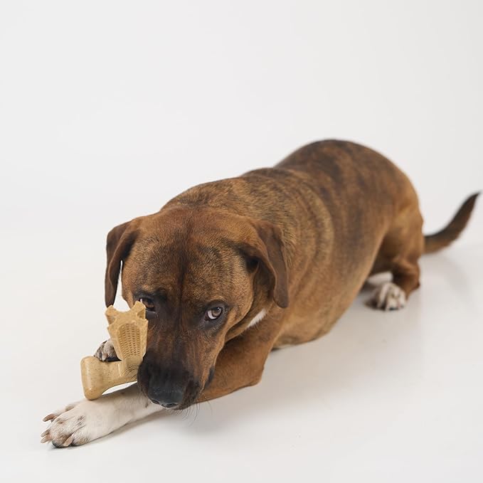 SPOT Bam-Bones Plus T-Bone, Bamboo Fiber & Nylon Dog Chew, Durable for Aggressive Chewers, Non-Splintering, for Adult Dogs & Teething Puppies Under 60lbs, 6in, Chicken Flavor