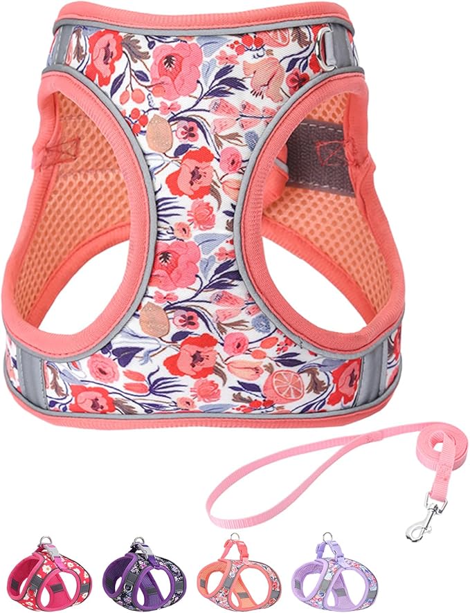Step in Dog Harness and Leash Set, Flower Adjustable Easy Walk Puppy Harnesses, Soft Mesh Pet Vest Harness Small Size Dog Adjustable No Pull Dog Harness for Small Medium Dogs(Pink, XS)