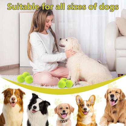 Swingers Squeaky Tennis Balls for Dogs,2.5 inch Training Tennis Balls,Exercise Ball for Pet Dog with Mesh Carry Bag Easy to Transport (Yellow, 60 Pack)