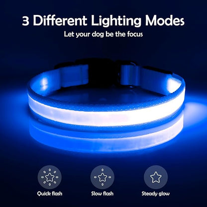 Vizpet LED Dog Collar, Light Up Dog Collar Adjustable USB Rechargeable Super Bright Safety Light Glowing Collars for Dogs(Small,Blue)