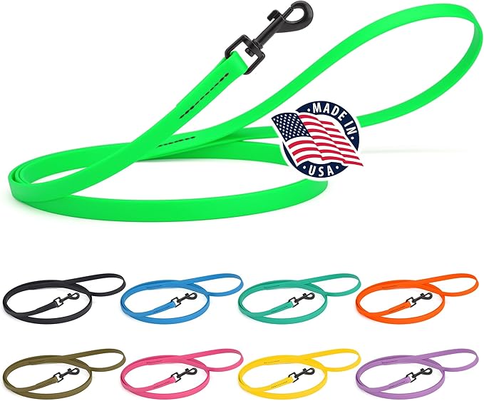 Dogline Biothane Waterproof Dog Leash Strong Coated Nylon Webbing with Black Hardware Odor-Proof Easy to Clean High Performance for Small or Large Dogs Made in USA 4 or 6 ft Lead, Tropical Green