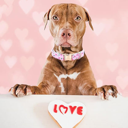 Lionheart glory Valentine's Day Collar, Flamingos Print Dog Dog Collar for Small Pink Dog Collars Spring Female Pet Gift Adjustable Heavy-Duty Dog Collar Holiday