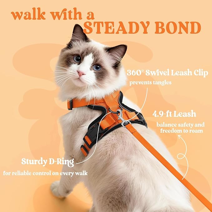 rabbitgoo Cat Harness and Leash for Walking, Escape Proof Soft Adjustable Vest Harnesses for Cats, Easy Control Breathable Reflective Strips Jacket, Orange, S