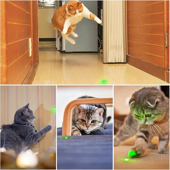 Cat Toy for Indoor Cats, USB Rechargeable Kitten Toys with 5 Adjustable Green Patterns, Interactive Chase Toys for Indoor Cats & Dogs, Training & Exercise Fun