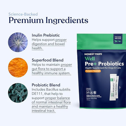 Honest Paws Probiotics for Dogs - Dog Digestion Gut Health Probiotic Powder with Prebiotic Made in The USA, Digestive and Immune Support - Digestive Enzymes with Pumpkin Flavor (30 Sticks)