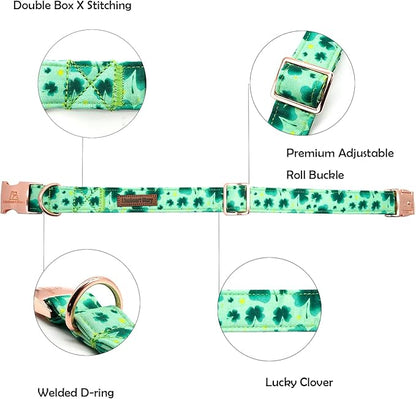 Lionheart glory St. Patrick Dog Collar, Clover Green Collar for Medium Dogs Spring Collars Adjustable Heavy-Duty Dog Collar Pet Gift