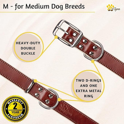 ADITYNA Heavy-Duty Leather Dog Collar for Medium Dogs - Soft Padded for Comfort - Medium Dog Collar for Walking, Training, and Hiking