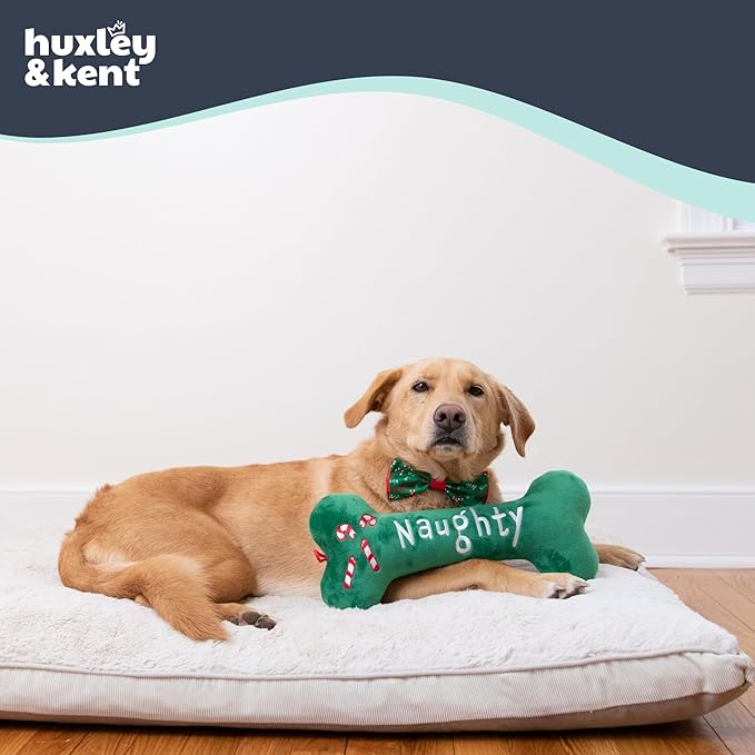 Huxley & Kent Funny Dog Toy w/Squeaker – Holiday Power Plush Squeaky Dog Toys for Small, Medium & Large Dogs – Soft Stuffed Animal for Indoor Play & Fetch - Naughty Nice Bone, Small