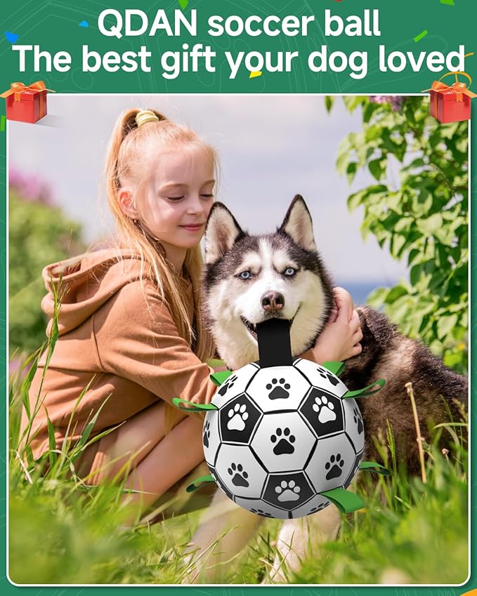 QDAN 10 Inch Gaint Dog Soccer Ball with Straps, Durable Big Dogs Balls, Outdoor Large Dog Toys, Herding Balls for Dogs, FloatingToy, Birthday Gifts (10 Inch)