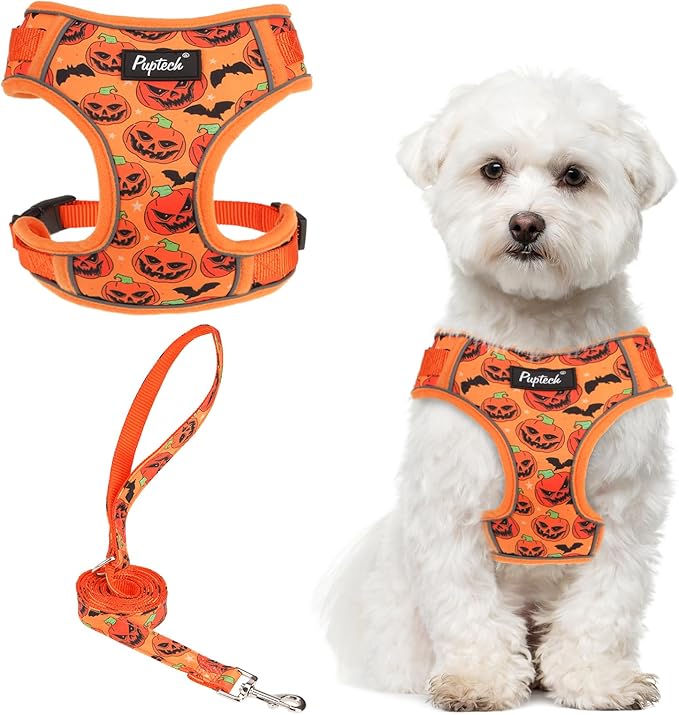 PUPTECK Halloween Small Dog Harness and Leash Set, No Pull Adjustable Puppy Cat Harness, Reflective Soft Mesh Pet Vest Small Sized, Pumpkin, M
