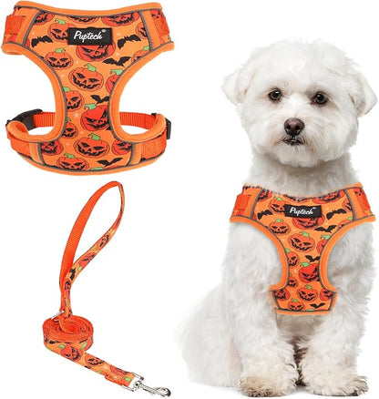 PUPTECK Halloween Small Dog Harness and Leash Set, No Pull Adjustable Puppy Cat Harness, Reflective Soft Mesh Pet Vest Small Sized, Pumpkin, M