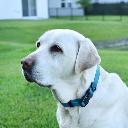 Dogline Biothane Waterproof Dog Collar with Quick Release Buckle Strong Coated Nylon Webbing with Odor- Proof for Easy Care Easy to Clean Fits Small Medium Large Dogs, Dogline Blue 5/8" W 9-14" L