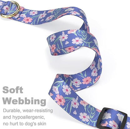 Rnivvi Dog Collar for Small Dogs, Cute Floral Heavy Duty Adjustable Puppy Collar with Quick Release Buckle for Girl & Female, Pet Accessories for Walking Running, XS Length 5/8" Width, White Blue