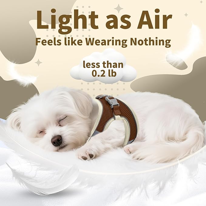 AIITLE Small Harness for Puppy with A Leash - Dog Vest Harness with Super Breathable Mesh, Reflective No-Pull Pet Harness for Outdoor Walking, Running for Small Dogs, Cats Beige XXS