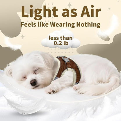AIITLE No Pull Dog Harness and Leash Set, Step in Adjustable Dog Harness with Padded Vest for All Weather, Dog Leash with Soft Padded Handle, Easy to Put on Small and Medium Dogs Beige S