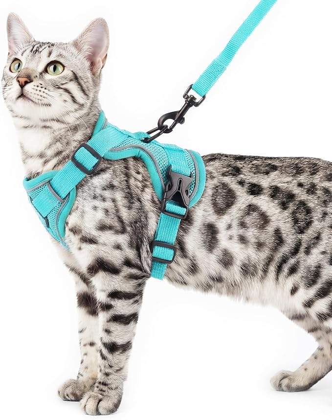pangdi Cat Harness and Leash Set Escape Proof Tactical Medium Kitten Harness Emotional Support Cat Vest, Turquoise, M