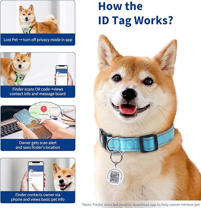 Reflective Dog Collar for Large Dogs with Dog Tags Personalized & Quick Release Buckle, Adjustable and Comfortable Nylon Pet Collar, Blue