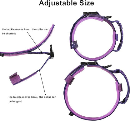 DAGANXI Tactical Dog Collar, Adjustable Military Training Nylon Dog Collar with Control Handle and Heavy Metal Buckle for Medium and Large Dogs, with Patches and Airtags Case (M, Purple Sky)