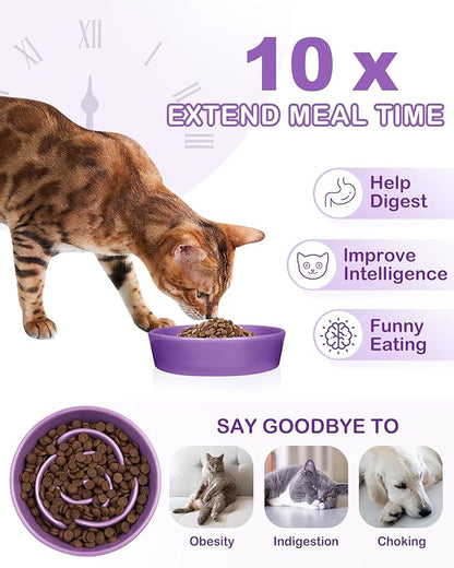 TRUVIC Ceramic Slow Feeder Dog Bowls Small Breed, 0.6 Cup Slow Feeder Cat Bowls for Fast Eaters, Ceramic Dog Food Dish no Black Chin, Puzzle Bowl for Small Dogs and Cats, Purple