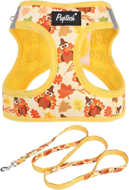PUPTECK Dog Harness and Leash Set for Small Medium Dogs No Pull Step-in Soft Mesh Puppy Cat Vest Harnesses Reflective at Night Thanksgiving, Autumn, M