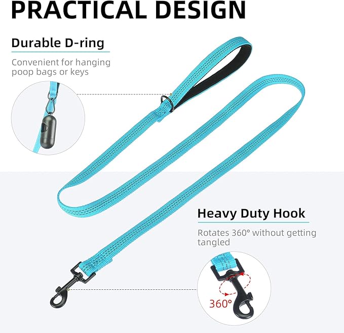 PUPTECK Reflective Dog Leash with Comfortable Padded Handle Durable Nylon Dog Lead for Small Medium and Large Dogs Cats Walking Running Training Outside, Teal, M
