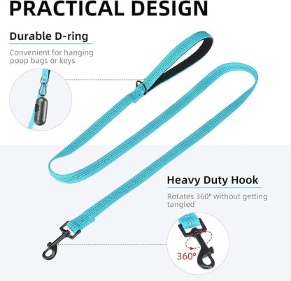 PUPTECK Reflective Dog Leash with Comfortable Padded Handle Durable Nylon Dog Lead for Small Medium and Large Dogs Cats Walking Running Training Outside, Teal, M