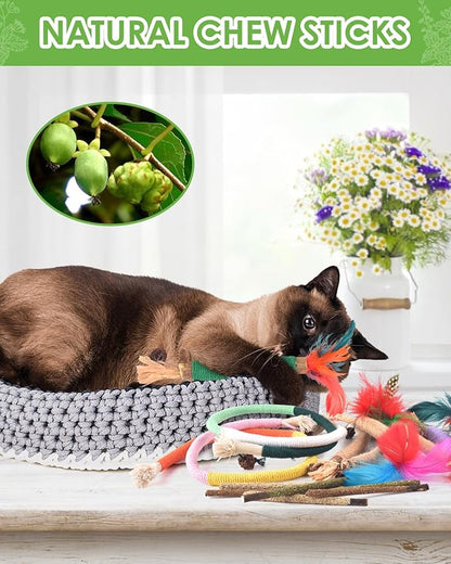 TINDTOP Cat Chew Toys, 12 Pack Silvervine Chew Sticks with 2 Pack Chew Ropes for Kittens Teeth Cleaning, Increase Appetite, Aggressive Chewers Cat Dental Toy