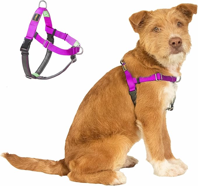 Freedom No Pull Dog Harness, Easy Walker, Front and Back Clips, Stop Pulling with 2 Stainless D-Rings, Sewn-in Instructions Tags for Easy Use, for Small Dogs Weight 20-30 lbs (Purple, Small)