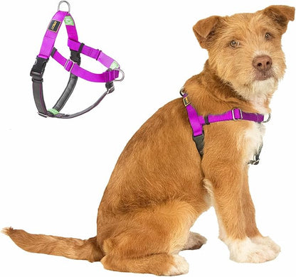 Freedom No Pull Dog Harness, Easy Walker, Front and Back Clips, Stop Pulling with 2 Stainless D-Rings, Sewn-in Instructions Tags for Easy Use, for Small Dogs Weight 20-30 lbs (Purple, Small)