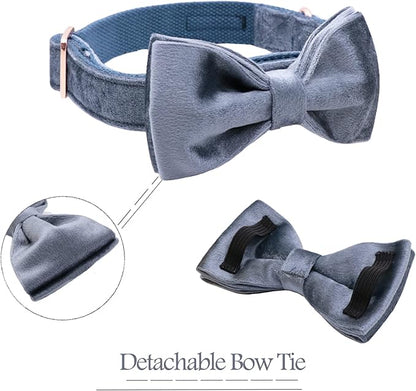 ARING PET Bowtie Dog Collar,Velvet Dog Collars with Detachable Bowtie, Cute &Comfortable Dog Collar, Blue Large.