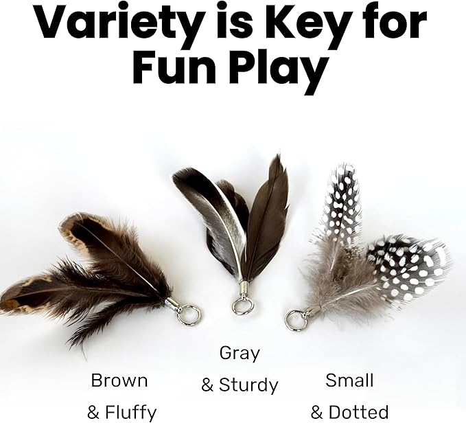 repounce Feather Toys Replacements (9 Pc) - Cat Toys & Kitten Toys for Indoor Kittens, Set of Replacement Feather Attachments Extra Small and Durable, for Cat Wands, Natural and Safe