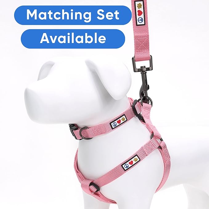Pawtitas Solid 6 ft Millennial Pink Dog Leash M/L Custom Name and Phone Embroidery Strong Nylon Leash for Medium and Large Breeds