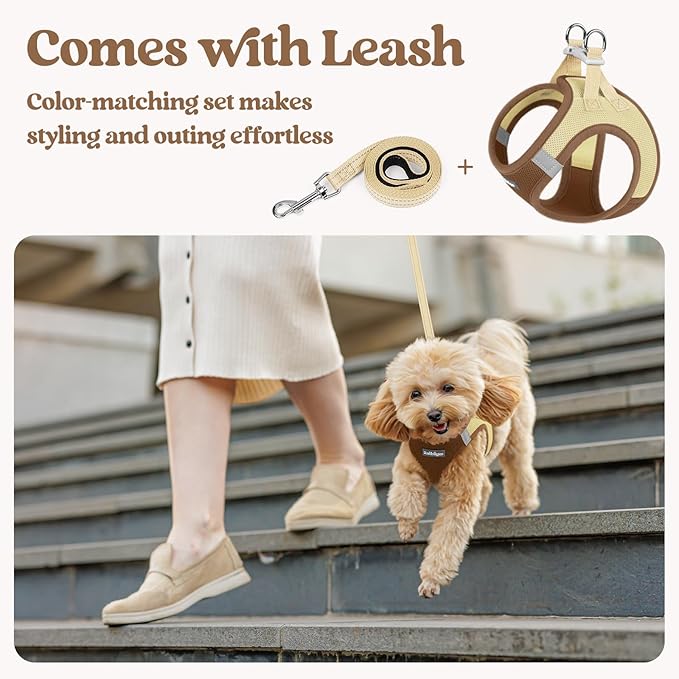 rabbitgoo Dog Harness Small Sized and Leash Set, Step in Soft Light Puppy Vest, Breathable Mesh Pet Harness, Reflective for Safe Easy Walking, Brown & Beige XS