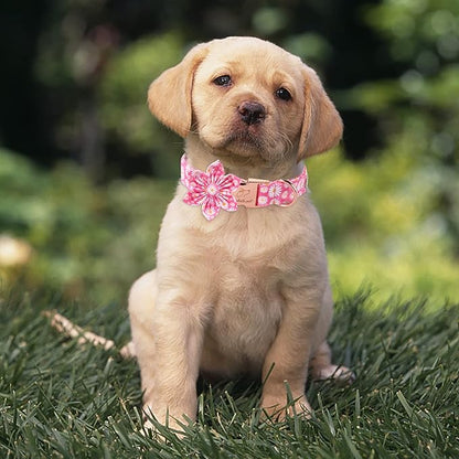 Daisy Dog Collar with Flower Bow Tie, Soft&Comfort Spring Bowtie Dog Collar, Durable Adjustable Cotton Pet Collar for Small Medium Large Dogs XL
