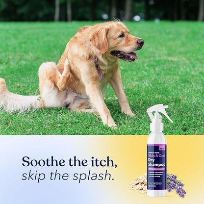 Honest Paws Dog Dry Shampoo - Waterless No Rinse Foaming Formula Reducing Itch Cleanse Hydrate Nourish Dry Skin and Smelly Coat Help Decrease Odor Shedding and Allergies - Oatmeal & Lavender - 8 fl oz