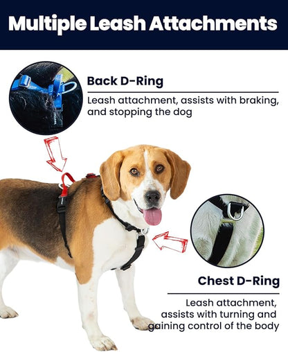 Non-Restrictive Large Dog Harness, Easy Walk Freedom No Pull Harness, Keep Balance, Neck-Buckle, Every Part is Adjustable, Back and Front Leash Clips, Purple/Black