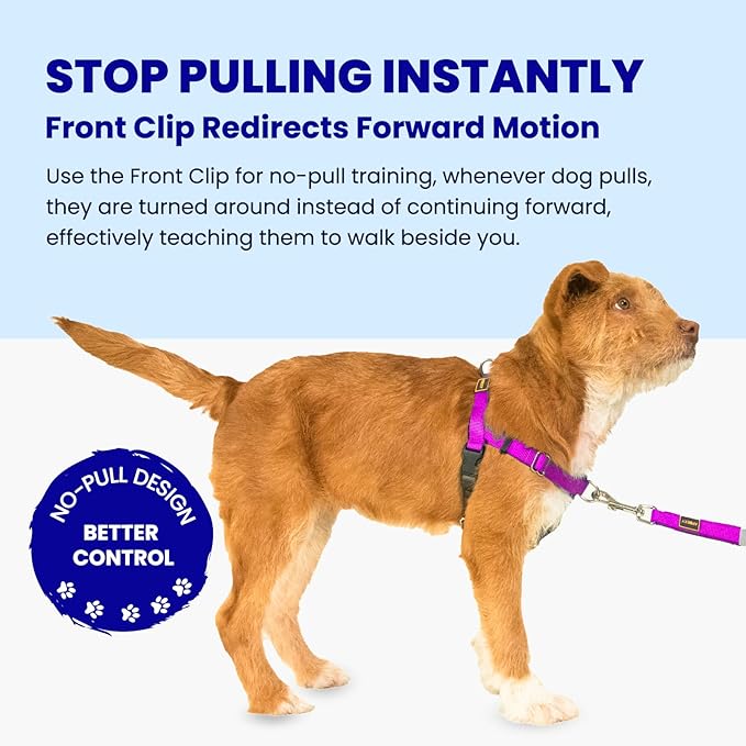 Easy Walk No Pull Dog Harness, Freedom Walk with Front and Back Clips Stainless D-Rings, Comfortable, Sewn-in Instructions Tags for Easy Use, for Medium Dogs Weight 30-39lbs (Purple, M)