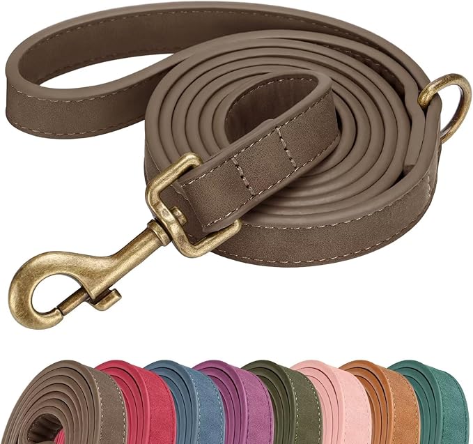 Didog Stylish PU Leather Dog Leash for Small Dogs, Easy to Clean 5ft Small Dog Leash with Metal Tangle-Free Clip, Fashionable and Elegant for Walking, Running and Training,Brown, S