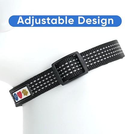 Pawtitas Reflective Black Puppy or Dog Collar, Medium