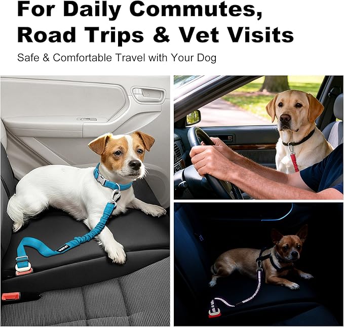 APakBak Dog Seat Belt for Car, Adjustable Dog Car Harness Seatbelt for Small Medium Large Dogs, Heavy Duty Travel Safety Restraint with Locking Aluminum Hook & Reflective Nylon Strap, Red