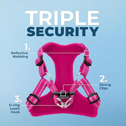 Best Pet Supplies Voyager Adjustable Step-in Flex Breathable Mesh Dog Harness for Small Medium Large Dogs Leash Set (Fuchsia), L
